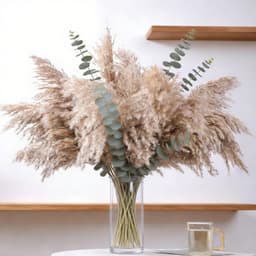 Artificial Plants - 20-Piece Set Of Dried Pampas Grass Decor In Natural Color - Boho Flowers For Natural Interior Design And Stylish Decor 3