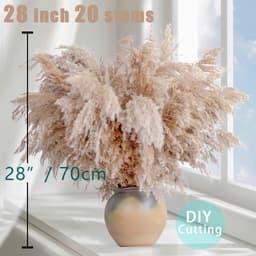 Artificial Plants - 20-Piece Set Of Dried Pampas Grass Decor In Natural Color - Boho Flowers For Natural Interior Design And Stylish Decor 4