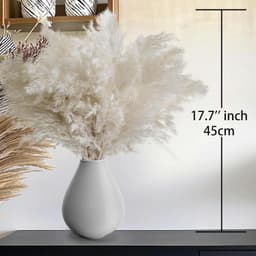 20 Large White Pampas Grass Stalks, Dried Reeds For A Vase, Perfect As Decoration For The Living Room, Bedroom, And Hallway 2