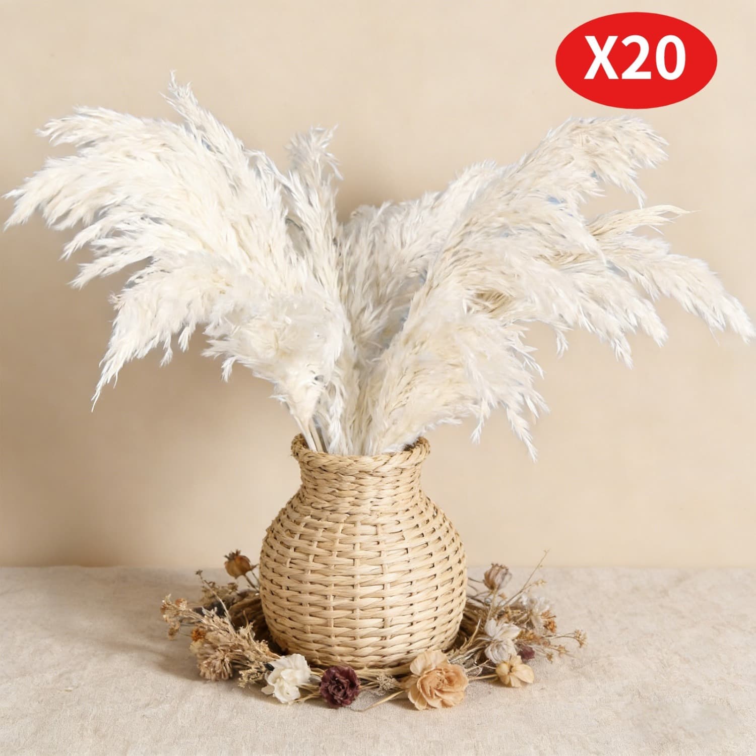 20 Large White Pampas Grass Stalks, Dried Reeds For A Vase, Perfect As Decoration For The Living Roo