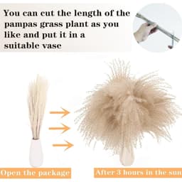 128-Piece Dried Flower Decor Set With 50 Pampas Grass, Rabbit's Tail Grass, Reed, And Love Grass For The Living Room And Table Decor 3