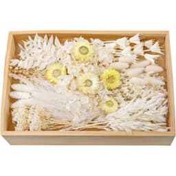 Set Of Dried Flowers In Shades Of White (11 Varieties), Mini Assortment Pack Of Dried Flowers Designed Specifically; Suitable For Greeting Cards, Gifts, Candles, And Picture Frames, Boho-style Decor 5