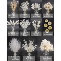 Set Of Dried Flowers In Shades Of White (11 Varieties), Mini Assortment Pack Of Dried Flowers Designed Specifically; Suitable For Greeting Cards, Gifts, Candles, And Picture Frames, Boho-style Decor 2