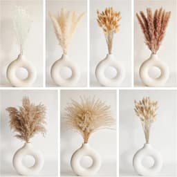 128-Piece Dried Flower Decor Set With 50 Pampas Grass, Rabbit's Tail Grass, Reed, And Love Grass For The Living Room And Table Decor 2