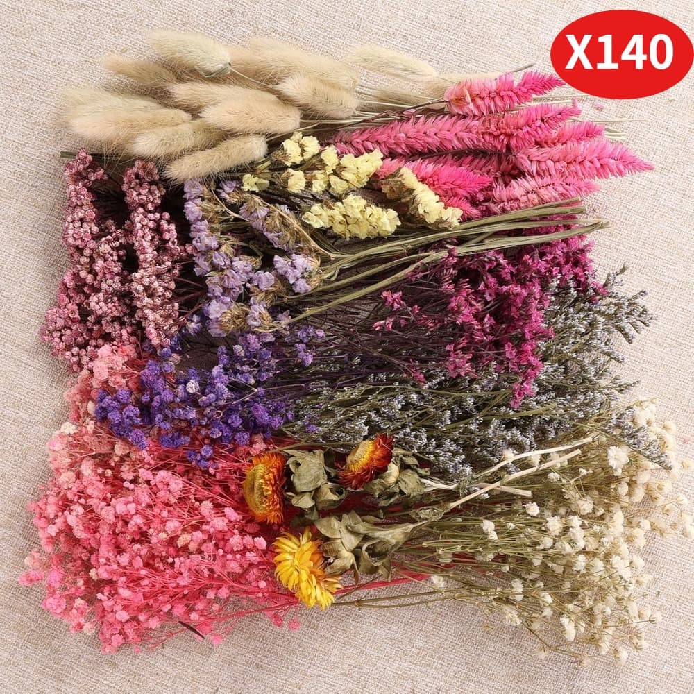 Set Of 140 Mini Dried Flowers In Shades Of Pink, Consisting Of 11 Different Varieties, Including Pin
