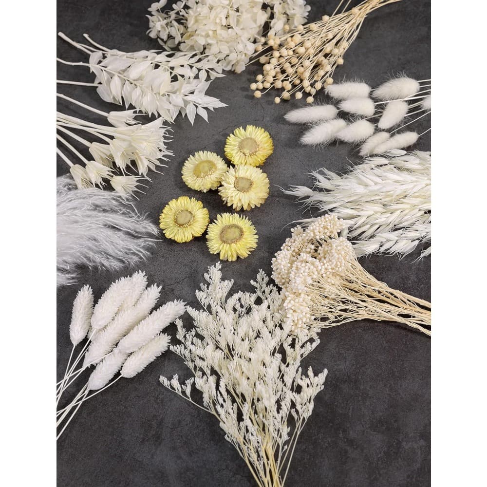Set Of Dried Flowers In Shades Of White (11 Varieties), Mini Assortment Pack Of Dried Flowers Design